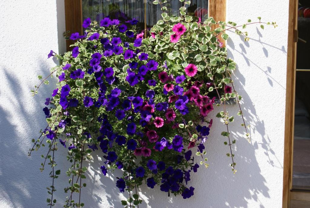 Ferienwohnung Gertraud Und Peter Geisler Φίνκενμπεργκ Εξωτερικό φωτογραφία